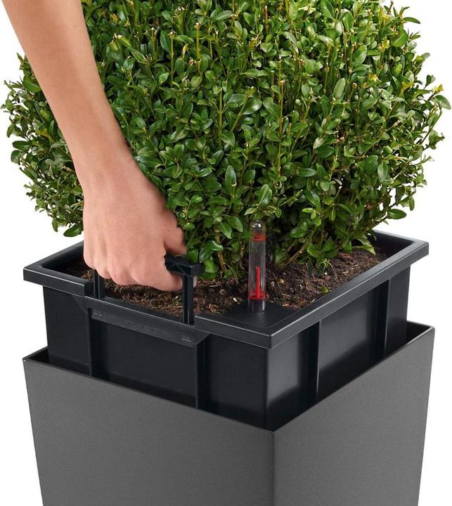 Actual product image Lechuza Cubico (22 cm)