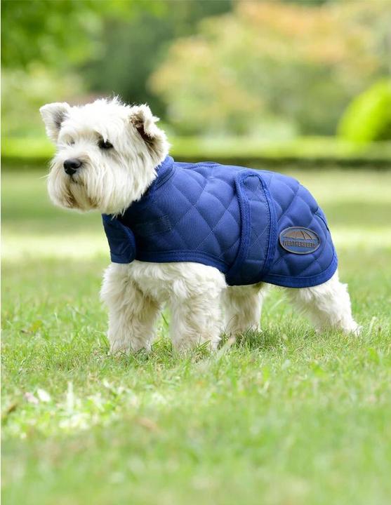 Actual product image Weatherbeeta Comfitec Deluxe Diamond (65, Dog coat)