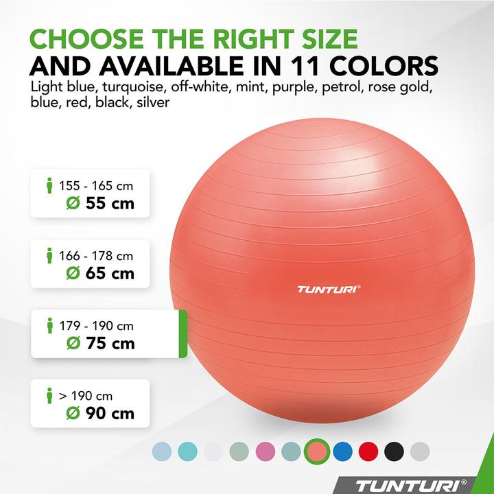 Immagine prodotto Tunturi Gym Ball - Fitnessball reissfest ABS 75 cm Orange (75 cm)