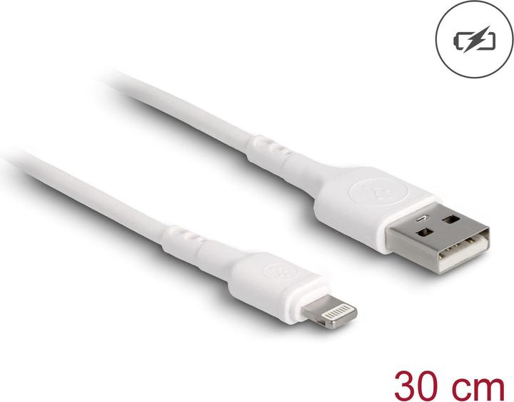 Produktbild Delock USB A – Lightning (0.30 m, USB 2.0)
