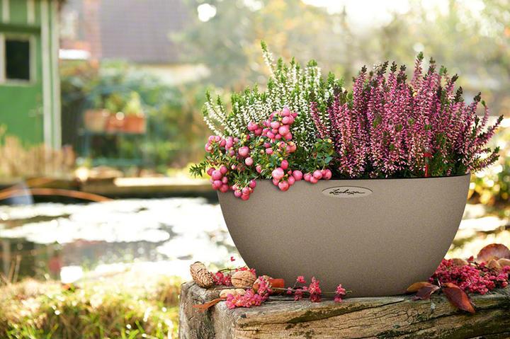 Produktbild Lechuza Cubeto 40 (40 cm)