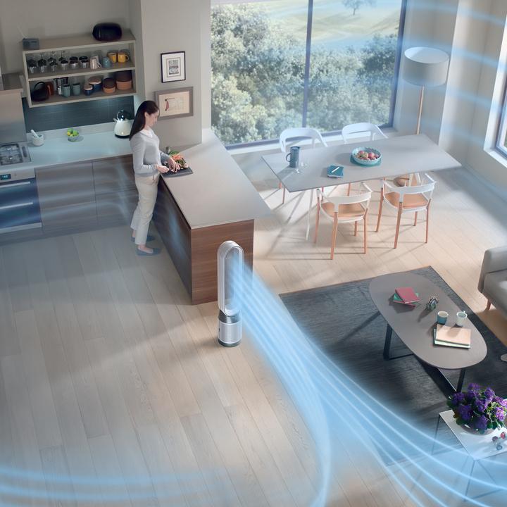 Actual product image Dyson Purifier Cool TP10 (27 m²)