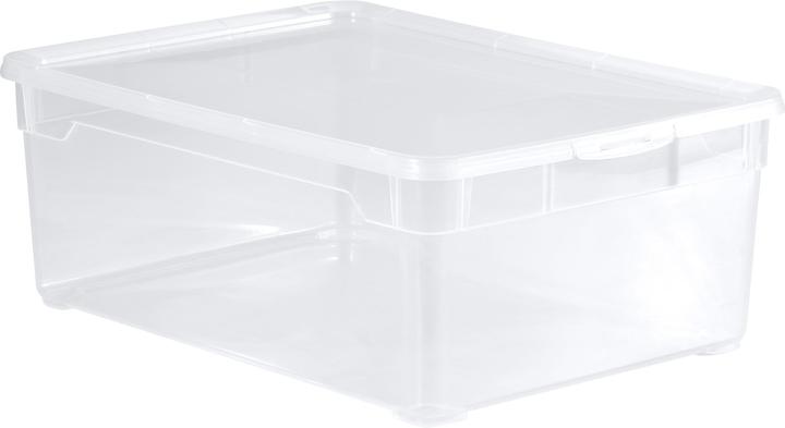 Immagine prodotto Rotho Cancella (36 x 26 x 14 cm, 10 l)
