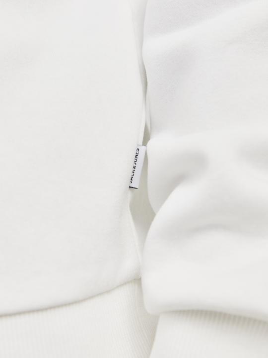 Actual product image Jack & Jones Jjebradley Sweat Crew Noos (XS)