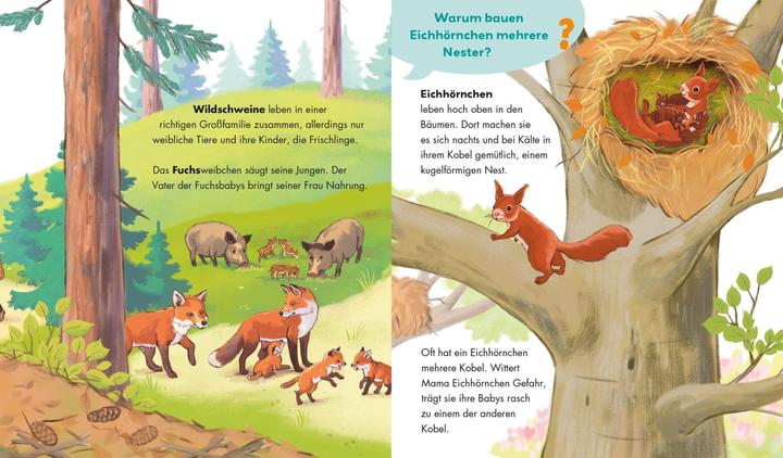 Produktbild Unkaputtbar: Frag doch mal die Maus: Tiere und ihre Familien (Deutsch, Jennifer Coulmann, Petra Klose, 2024)