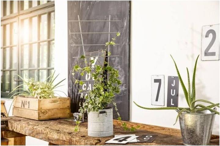Produktbild Windhager Blumenstütze Metall (77 cm, 34 cm)
