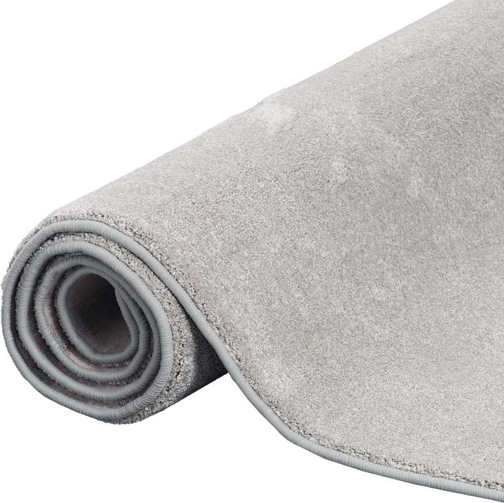 Produktbild Snapstyle Hochflor Luxus Velours Teppich Touch (80 x 400 cm)