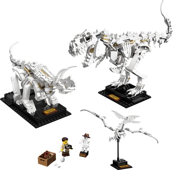 Produktbild LEGO Dinosaurier-Fossilien (21320, LEGO Ideas)