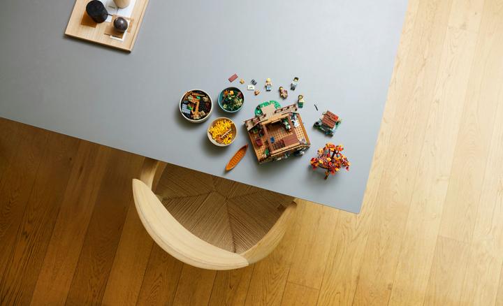 Actual product image LEGO Ideas Finn Cottage 21338 (21338, LEGO Ideas, LEGO Rare Sets)