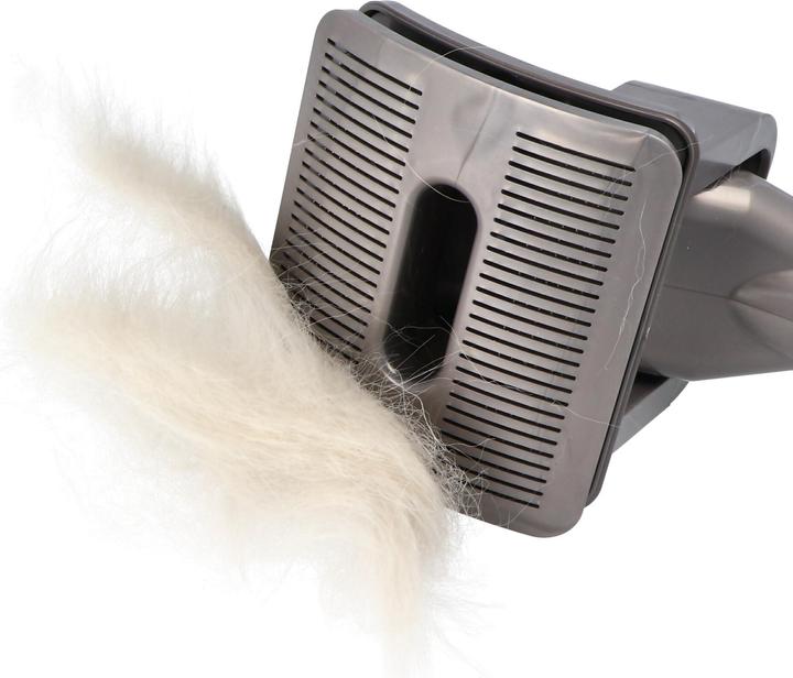 Actual product image AccuCell Hundehaarbürste, Dyson 921000-01