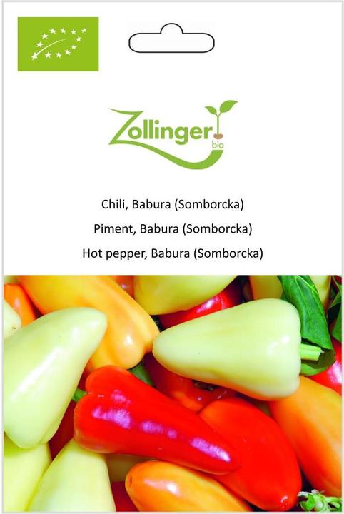 Zollinger Bio Chili, Babura (Somborcka) (Kiemen)