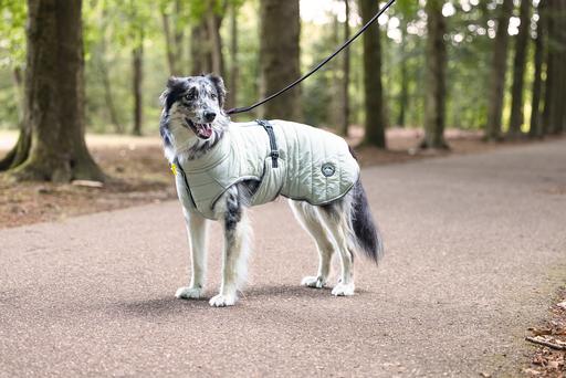 Immagine prodotto Beeztees Bz Cappotto Per Cani Bobby Taupe 52 (52, Cappotto per cani)