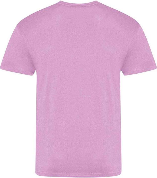 Actual product image Awdis The 100 Tshirt (S)