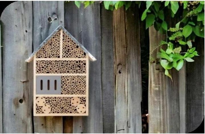 Immagine prodotto Windhager Colony (Melodie accattivanti, Farfalle, Merletti, Ape, Api, Coccinelle, Vespe scavatrice)