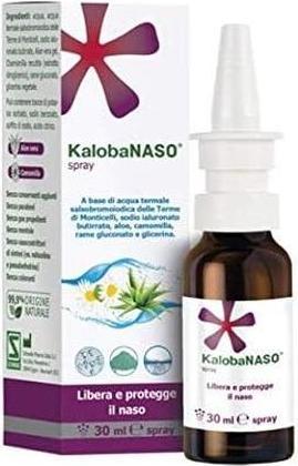 Actual product image Schwabe Pharma Kalobanaso Spray 30ml (30 ml)