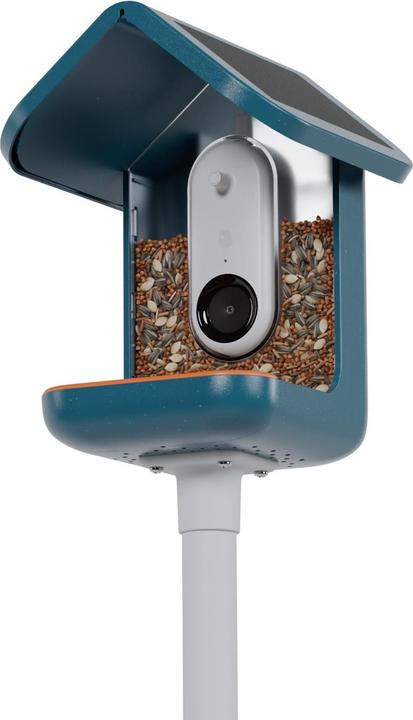 Immagine prodotto Bird Buddy Alimentatore intelligente per uccelli 2.0
