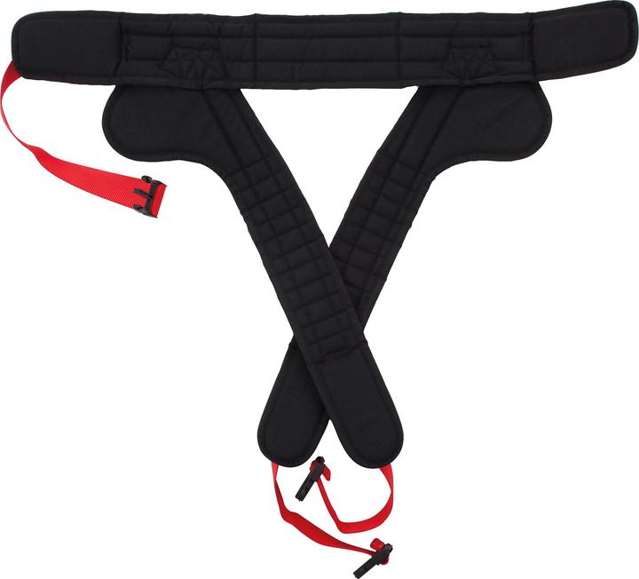 Actual product image Sport-Thieme Strap for XTENSi swing