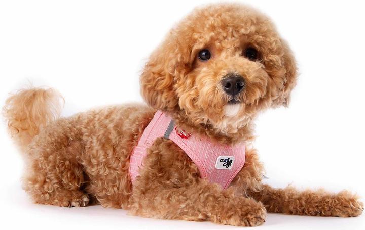 Actual product image Curli Harness Vest Air-Mesh L SE24, fondant pink (L, Dog, General)