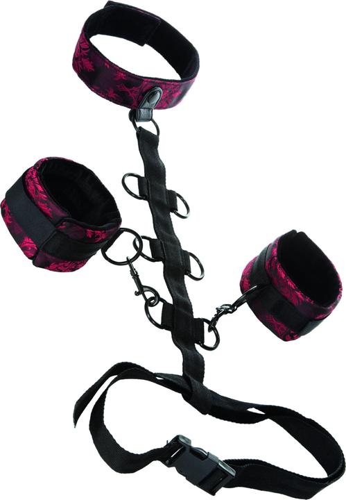 Actual product image CalExotics Scandal Collar Body Restraint