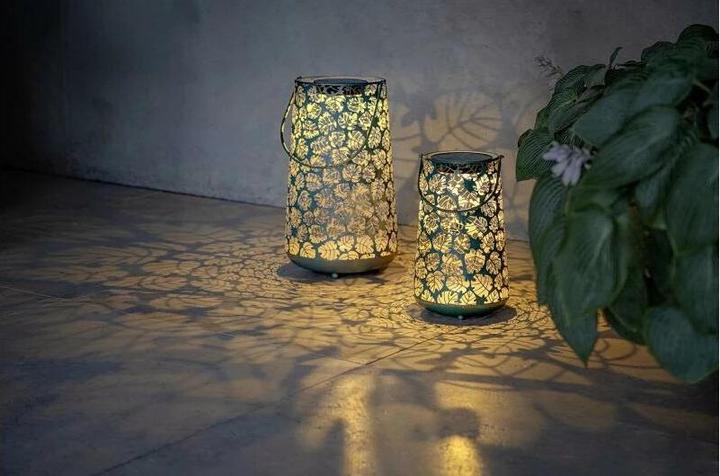Produktbild STT Antic Monstera
