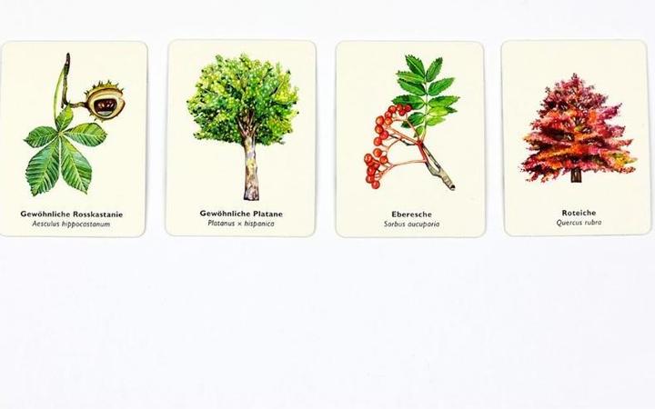 Immagine prodotto Gli alberi e le loro foglie (Tedesco)