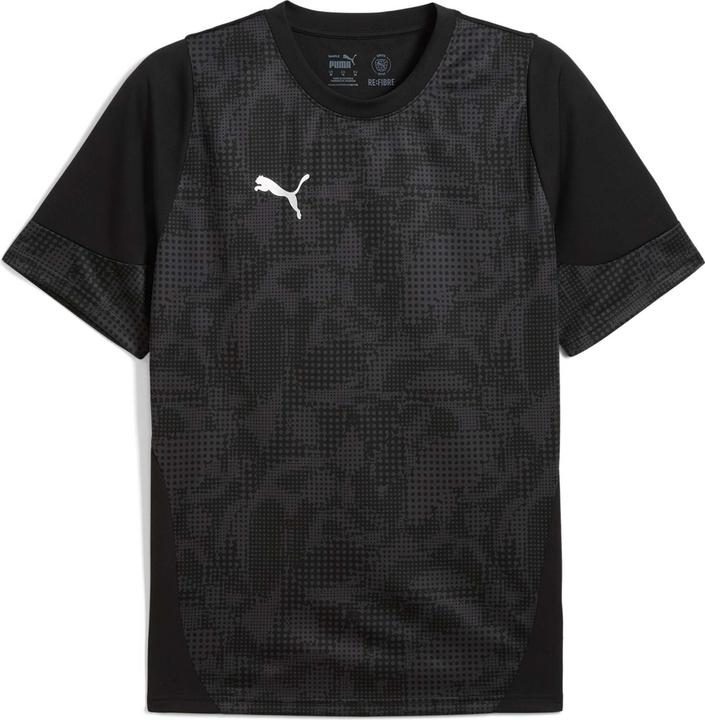Puma teamCUP Training Jersey