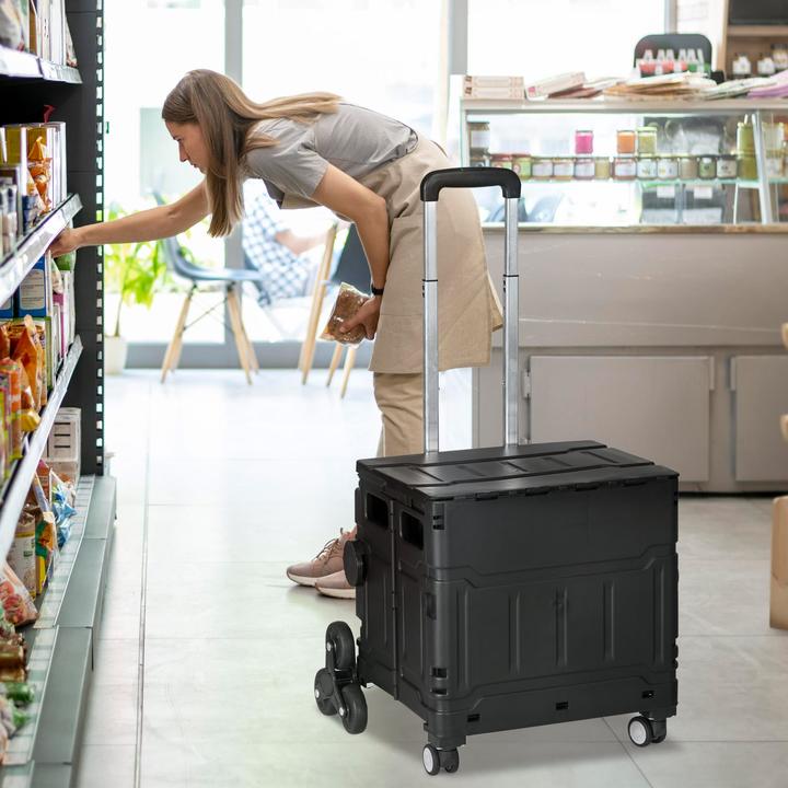 Actual product image Jamb Einkaufstrolley