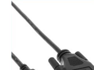 Actual product image InLine DVI — mini HDMI (Typ C) (2 m, DVI, HDMI)