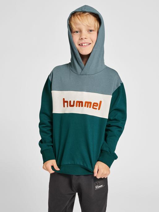 Produktbild hummel Morten Hoodie (110)