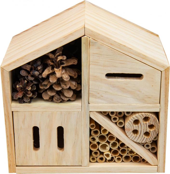 Actual product image D'arpeje Outdoor CFUN195