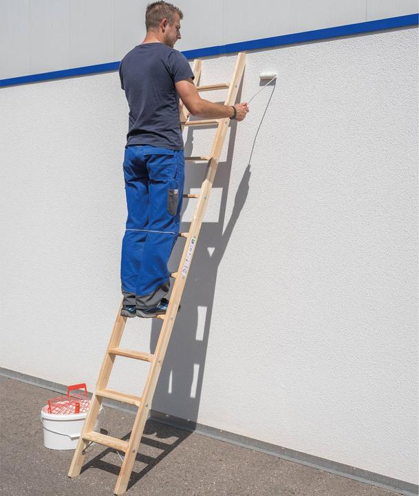 Immagine prodotto Munk Scala a pioli in legno, con gradini, 8 gradini. (Scala singola, 219 cm)