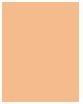 Image du produit Bioderma Photoderm COVER Touch (Light)
