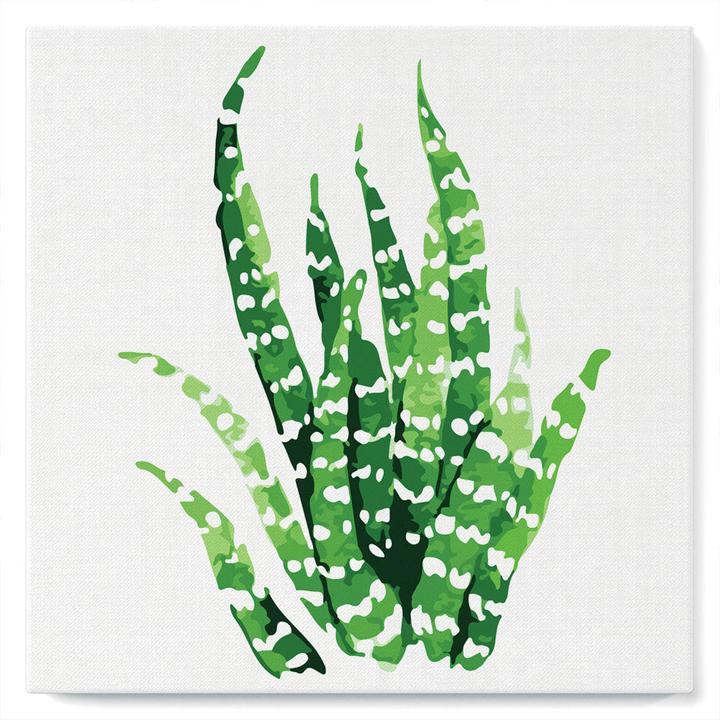 Image du produit Figured'Art Mini Peinture par Numéros avec Cadre - Plante grasse