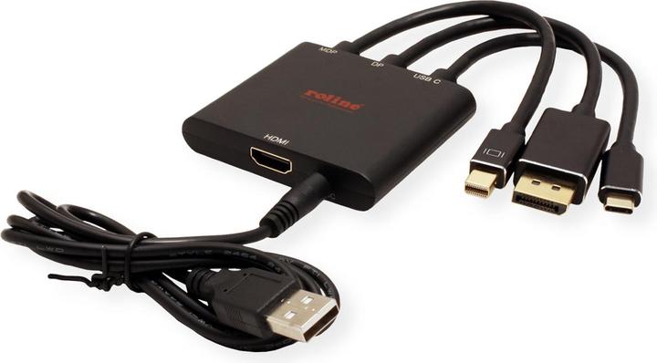 Produktbild Roline Adapterkabel Mini DisplayPort / DisplayPort / Typ C (HDMI, 15 cm)