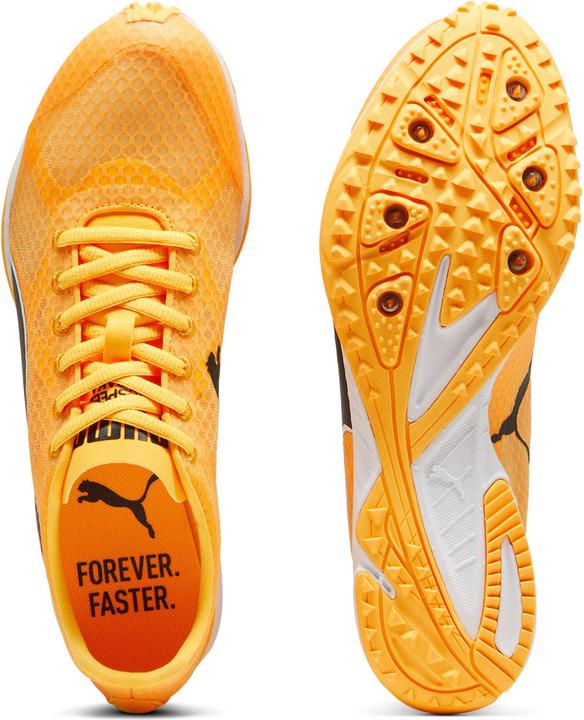 Productafbeelding Puma evoSPEED Haraka 8 Unisex (47)