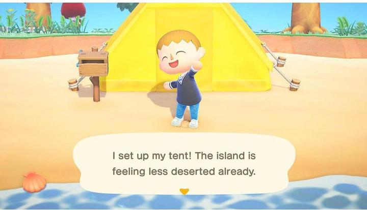 Immagine prodotto Nintendo Animal Crossing: New Horizons (Switch, Multilingue)