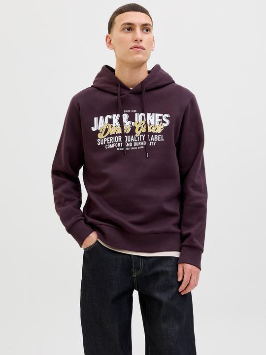 Immagine prodotto Jack & Jones JJELOGO SWEAT HOOD 2 COL 25/26 NOOS (XS)