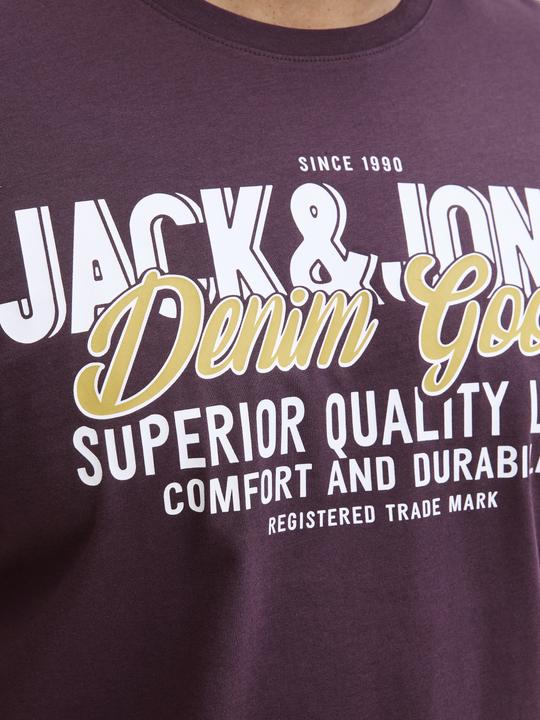 Actual product image Jack & Jones Jjelogo Tee Ss Oneck 2 Col Aw25 Noos Pls (4XL)