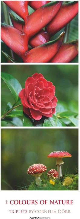 Produktbild Alpha Edition Colours of Nature: Triplets 2025 Streifenkalender XXL, 25x69cm, Kalender mit 3 (25 x 69 cm, Deutsch)