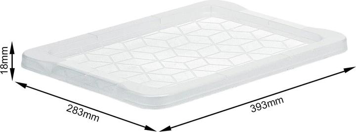 Produktbild Rotho Evo Easy (59 x 2 x 39.5 cm, 1 l)