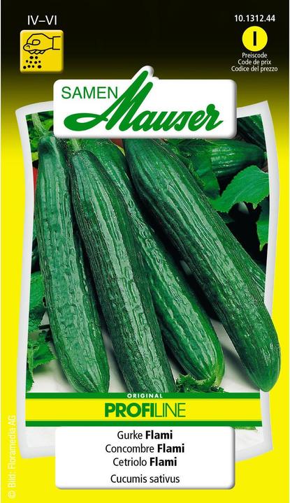 Samen Mauser Cetriolo Flami Profiline (Semi di verdura)