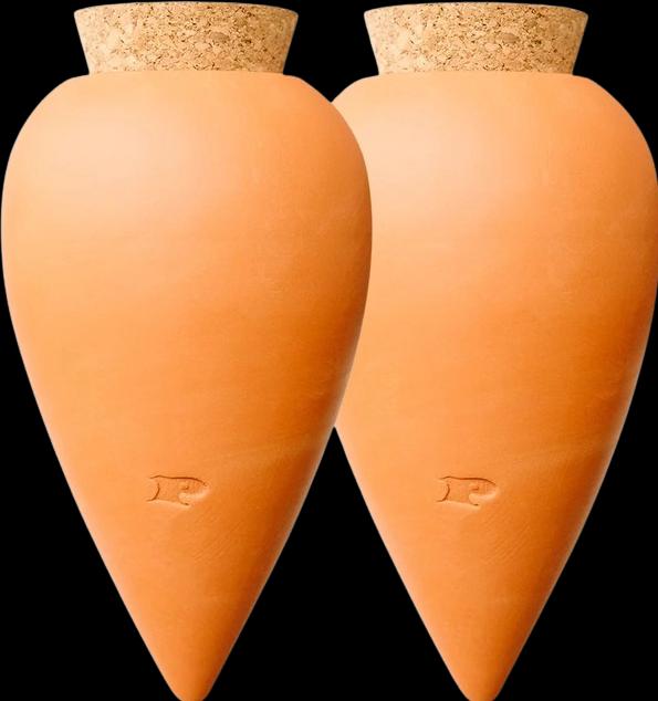 Image du produit Pepin Bewässerungskegel Olla Terrakotta (2er Set) (Cône d'argile)