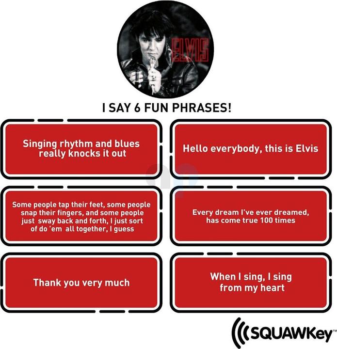 Produktbild NMR Distribution Elvis: SQUAWKey Talking Keychain