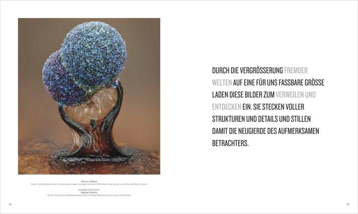 Produktbild National Geographic Verborgene Welten – Einzigartige Fotografien (Deutsch, Susen Truffel-Reiff, Anand Varma, 2023)