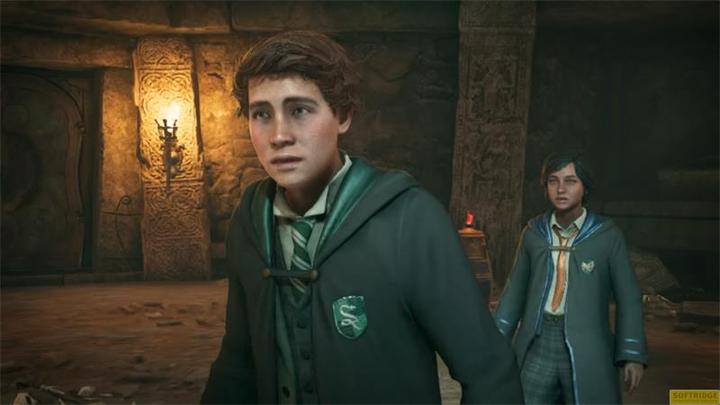 Actual product image WB Hogwarts Legacy (Switch, DE, FR)