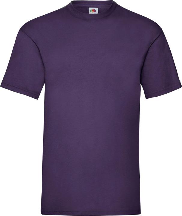 Fruit of the Loom Valueweight TShirt (L)