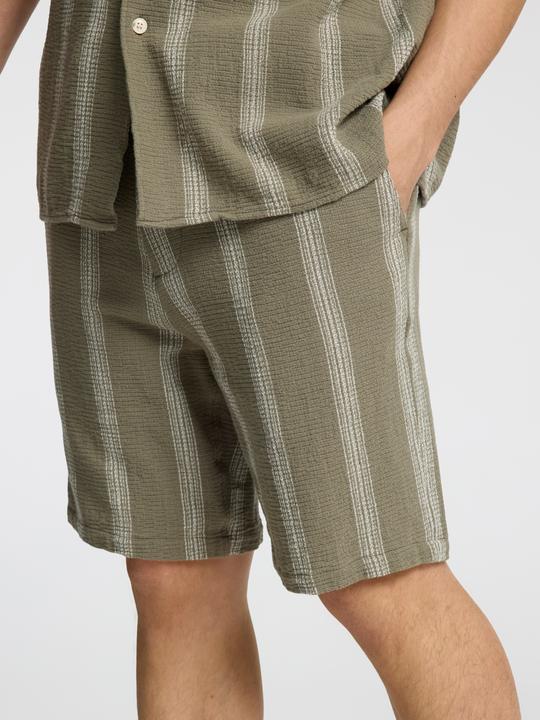 Image du produit Selected Homme Gestreifte Shorts (M)