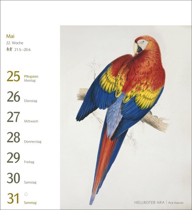 Actual product image Harenberg Vögel Postkartenkalender 2026 - Postkartenkalender mit 53 historischen Zeichnungen (Hardcover, German)
