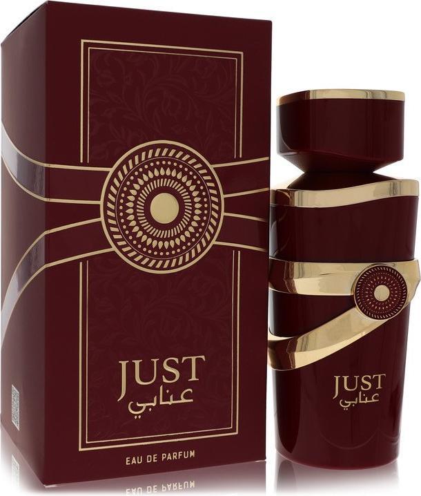Ameer Al Oud Fragrance World Just Anabi Eau De Parfum 100ml (Eau de Parfum, 100 ml)