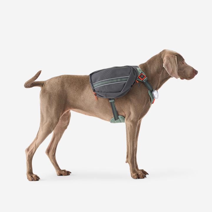 Actual product image Caperlan Hundegeschirr Wandern (S, Dog, Dog sport)